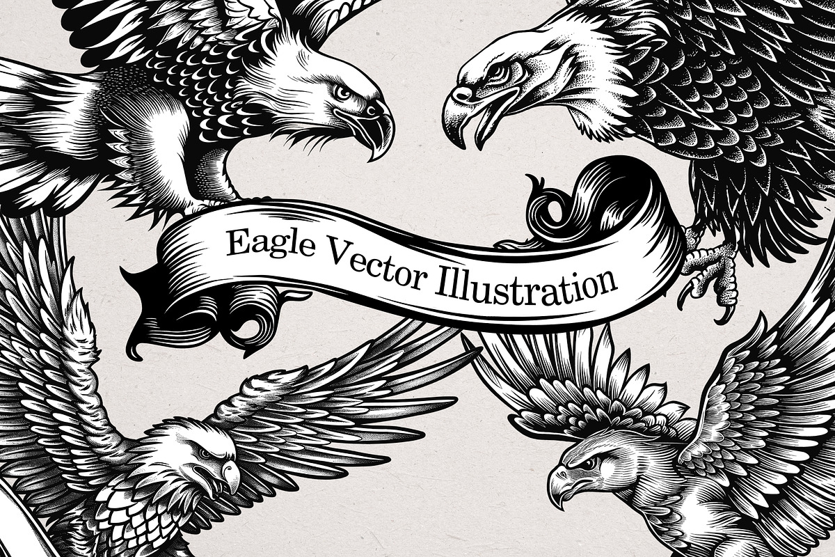 36 Eagle Vector Illustrations, an Animal Illustration by Alternate Studio (Photo 1 of 7)