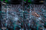 Spider Photoshop overlays, an Object Graphic by 2SUNS (Thumbnail 7 of 9)