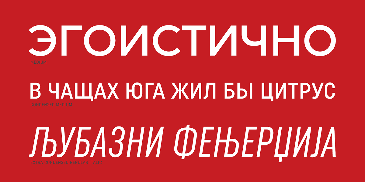 Uniform Pro, a Sans Serif Font by Miller Type Foundry (Photo 5 of 14)