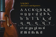 Valdo Font Family, a Serif Font by Larin Type Co. (Thumbnail 15 of 15)
