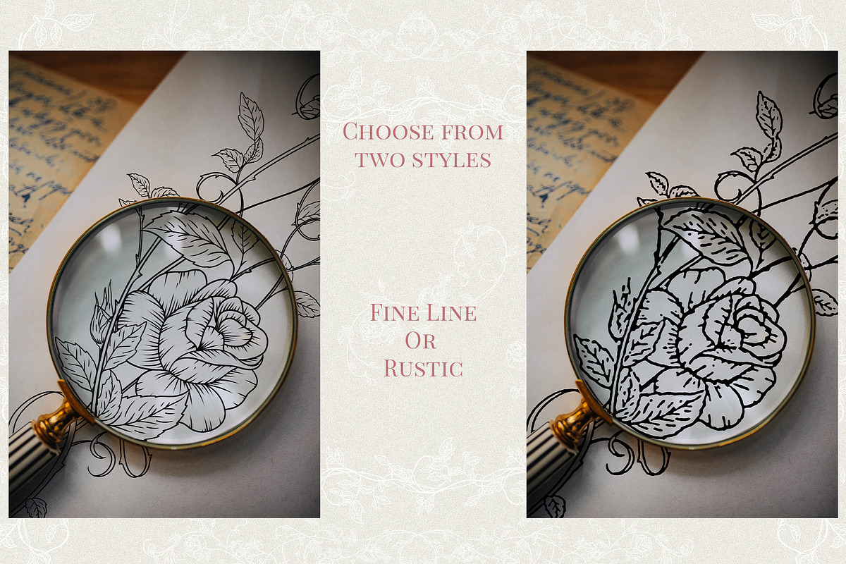 Rose Garden LineArt, a Decorative Illustration by AW Studios (Photo 7 of 9)