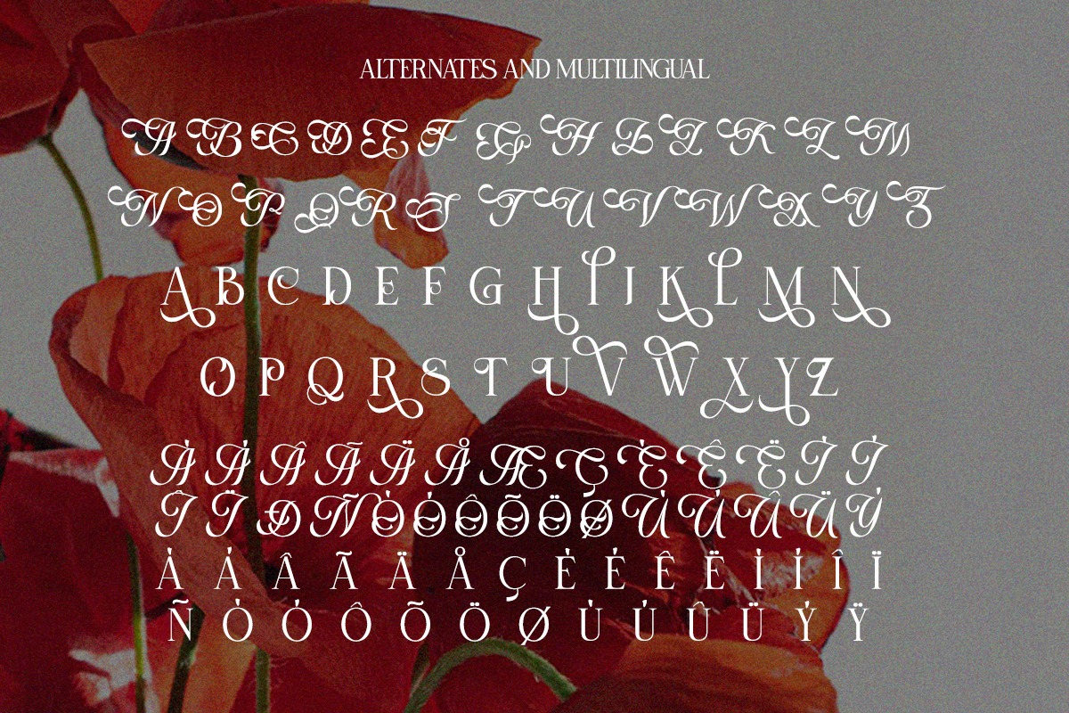 Selnonce - Elegant Luxury Serif, a Serif Font by Qweera Studio (Photo 11 of 12)
