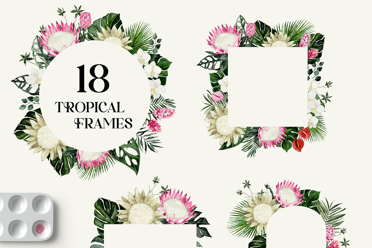 Protea - tropical collection, a Texture Illustration by Backyard Rose (Photo 13 of 22)