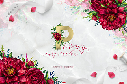 Watercolor peony flower