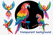 Colorful Tropical Parrots Clipart, an Object Graphic by GraphicRedStudio (Thumbnail 2 of 9)