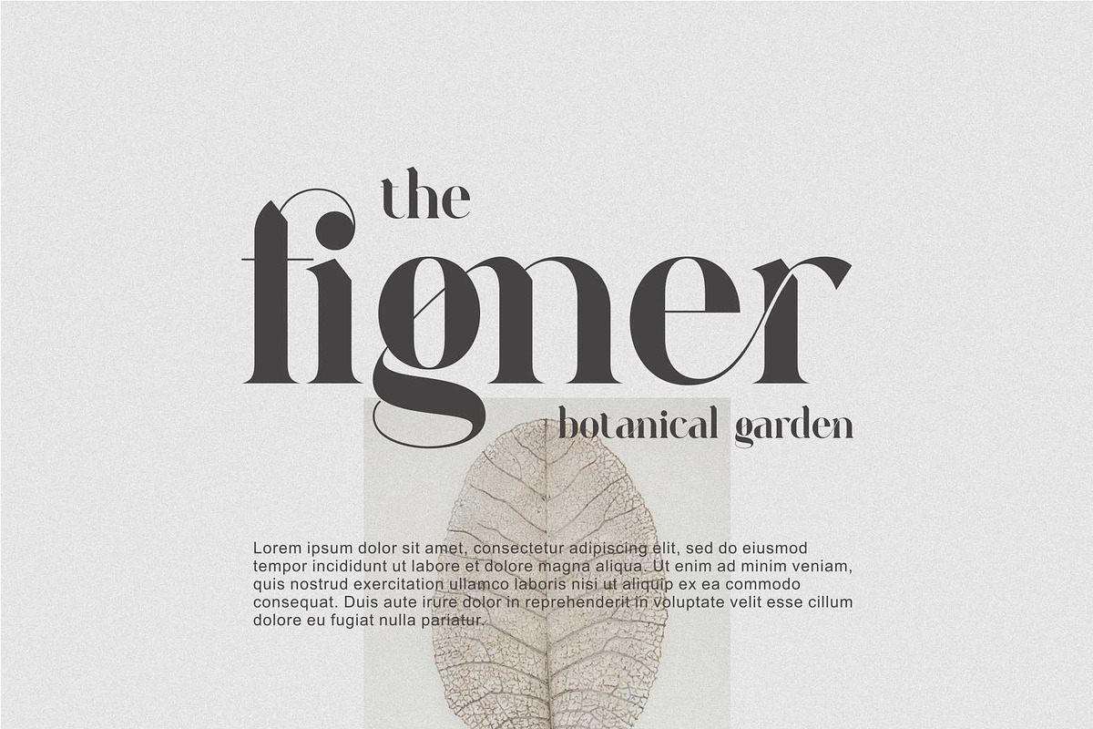 Raung Modern Ligature Serif, a Serif Font by Dylla_studio (Photo 2 of 13)