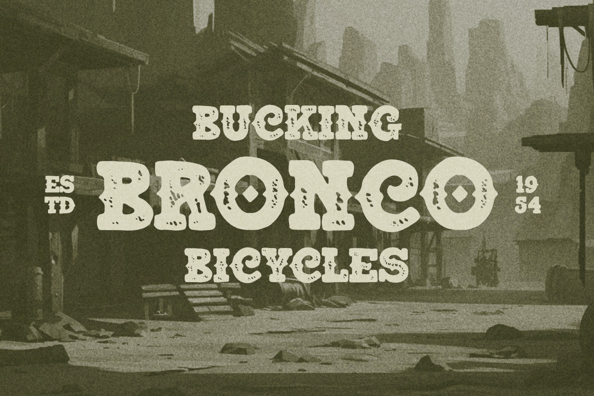 South Canyon, a Slab Serif Font by Rillatype (Photo 8 of 10)