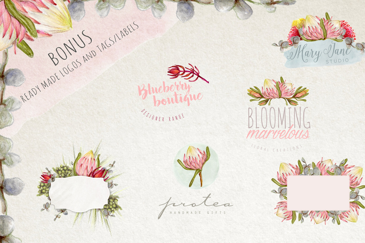 Watercolour Protea Flower DIY Pack, an Illustration by Ingrid Marais Design (Photo 4 of 4)