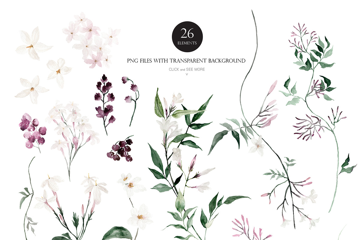 Watercolor flower - Jasmine, an Illustration by Beigetime (Photo 3 of 16)