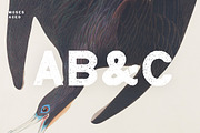 Moses - Display Grotesque Typeface, a Slab Serif Font by Nomad Visuals (Thumbnail 4 of 8)