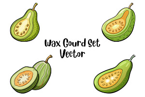 Wax Gourd Set Vector, a Food Illustration by Awieee1