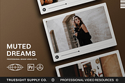 Muted Dreams - Video LUTs, a Brushes & More by Truesight Supply Co. (Thumbnail 1 of 6)