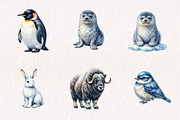 Watercolour Winter Arctic Animals, a Seasonal Illustration by CreationArt (Thumbnail 4 of 7)