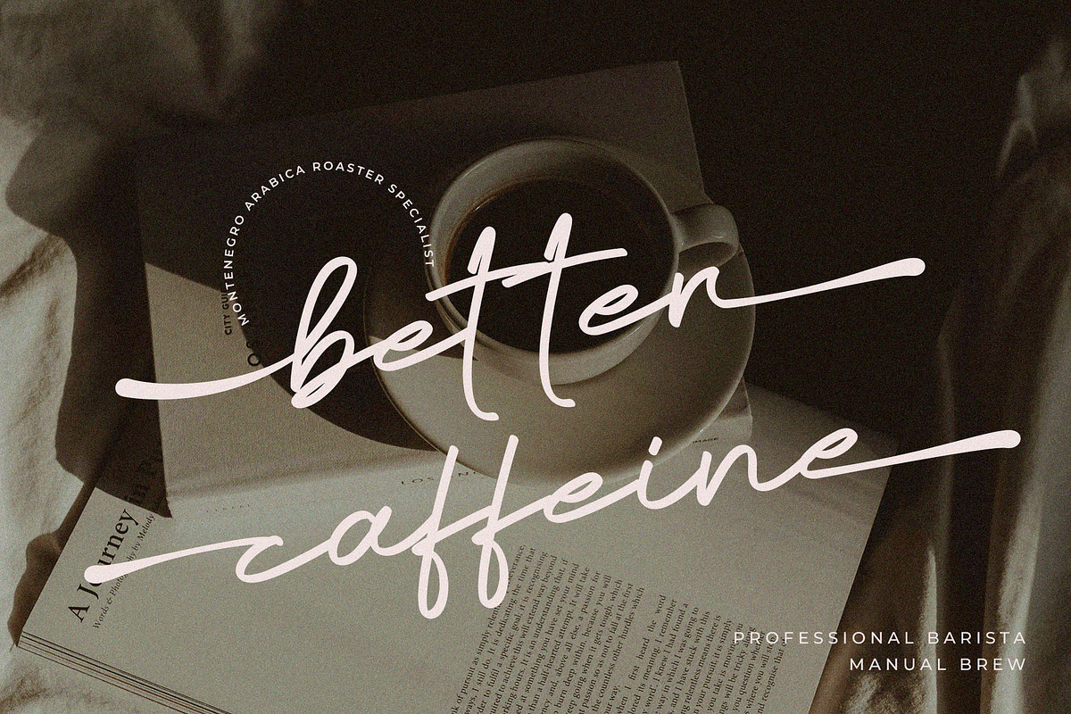 Remonila Elegant Handwritten Script, a Handwritten Font by BrandSemut (Photo 4 of 12)