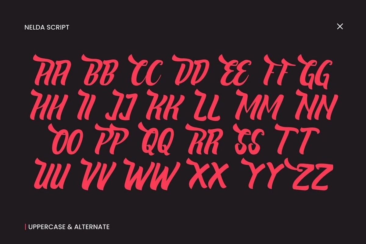 Nelda Logotype, a Script Font by ShowUp! Studio (Photo 10 of 12)