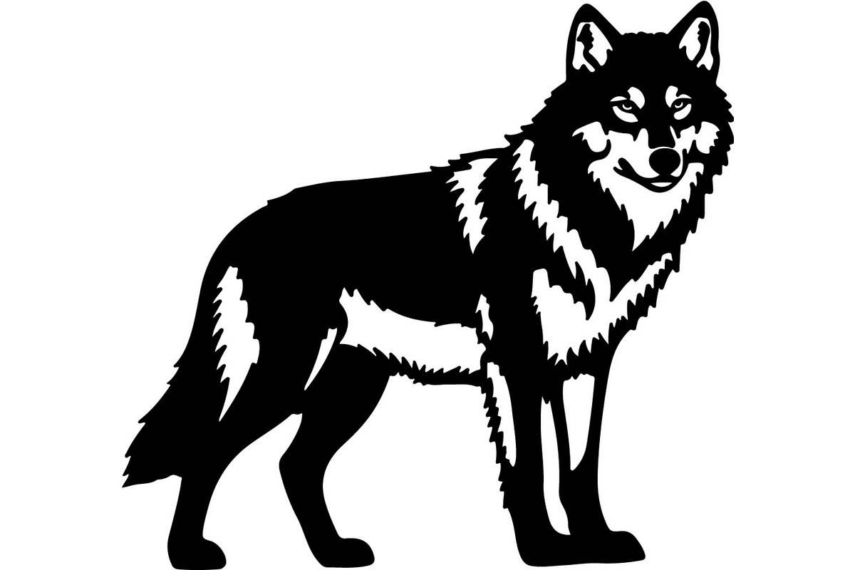 Alpha Wolf Silhouettes Bundle, an Animal Illustration by Designer_Momina (Photo 9 of 21)