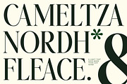 Twoswash - Beauty Elegant Serif, a Serif Font by Typia Nesia (Thumbnail 5 of 11)