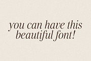 Voguelicious, Cozy Academia, a Serif Font by TypeFaith Fonts (Thumbnail 12 of 12)