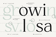 Zacorsea – Beauty Elegant Ligature, a Serif Font by Typia Nesia (Thumbnail 5 of 11)