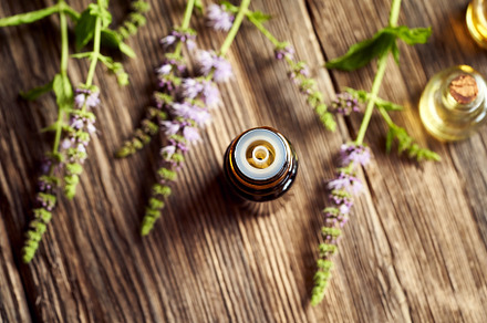 A dark bottle of peppermint essential oil with fresh blooming pe, a Health & Medical Photo by Madeleine Steinbach