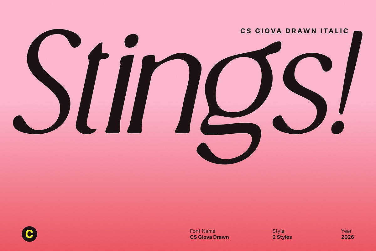 CS Giova Drawn, a Serif Font by Craft Supply Co. (Photo 3 of 8)