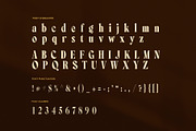 Annutte Elegant Serif Display Font, a Serif Font by Elegant Font (Thumbnail 7 of 8)