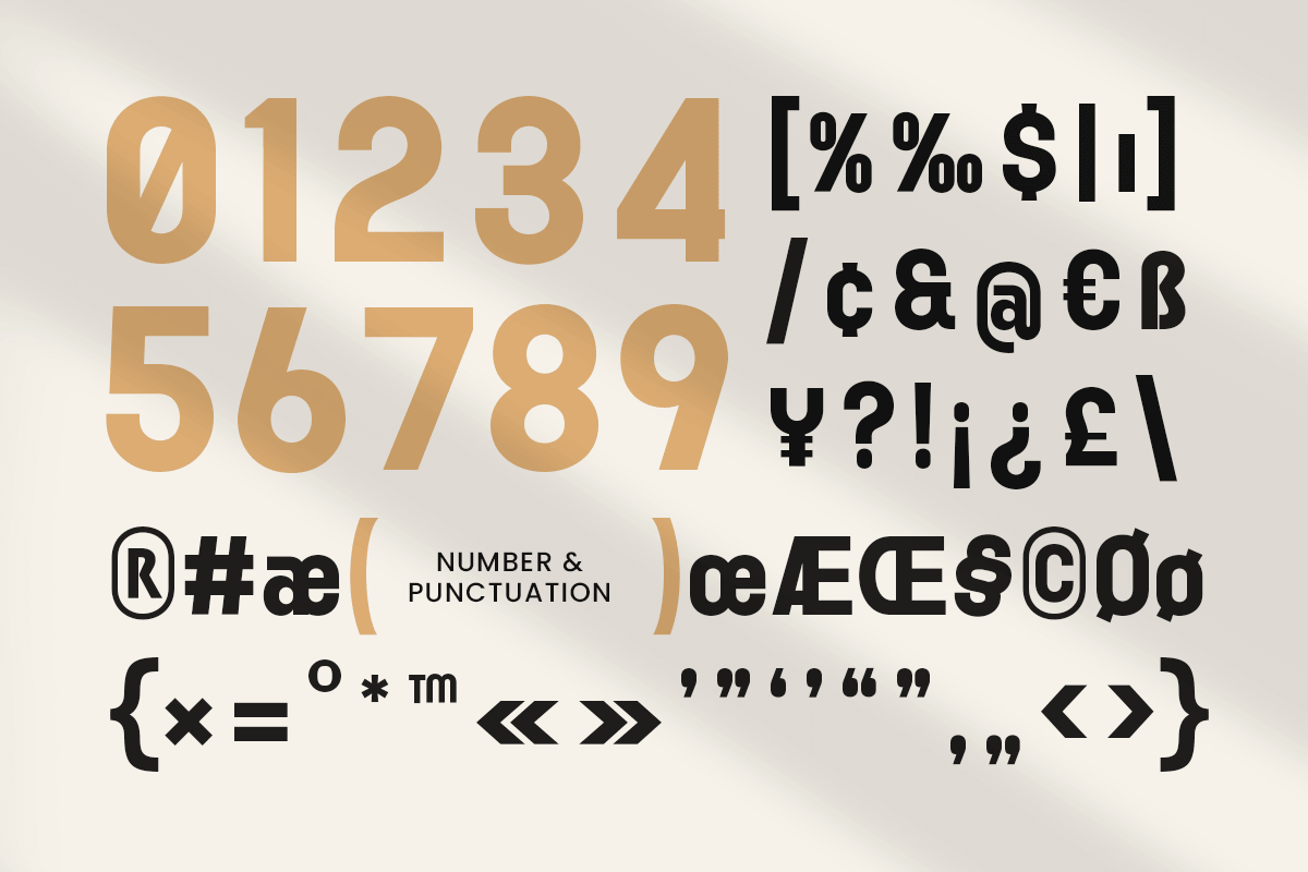 Ranely - Modern Sans Serif Font, a Sans Serif Font by Sensatype (Photo 11 of 12)