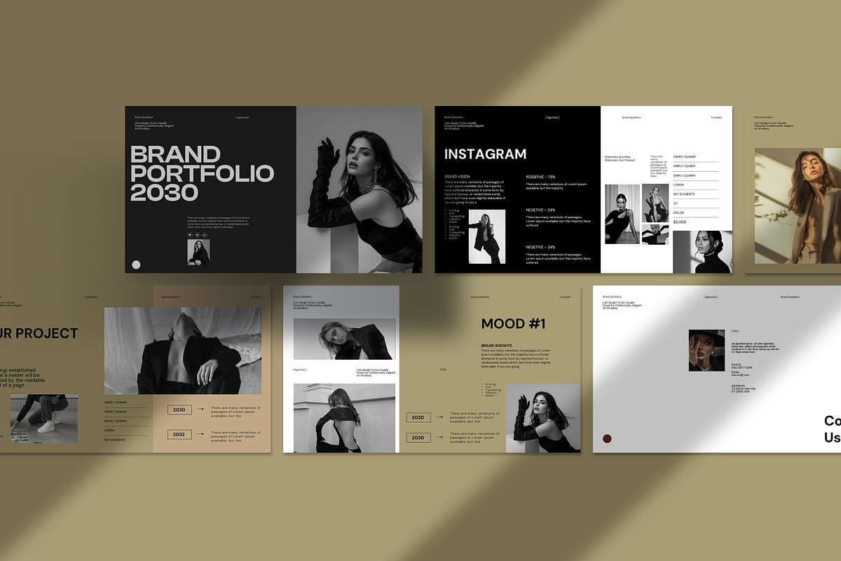 Brand Portfolio Presentation preview 8