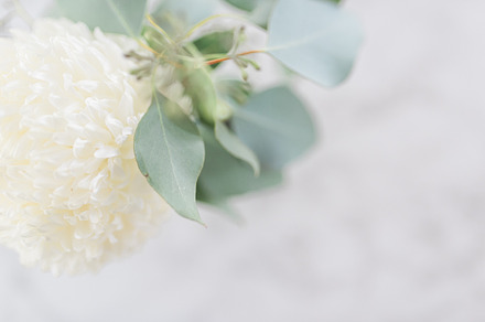 Peaceful Floral Premium Stock Image