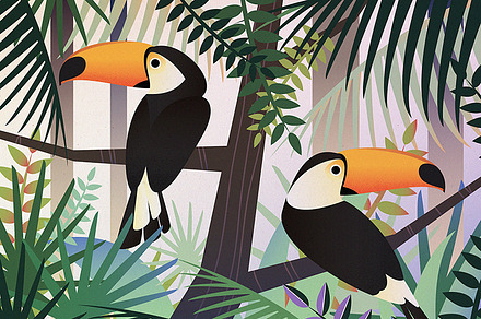 Toucan