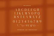 Cerasin Elegant Serif Font, a Serif Font by Perfectype (Thumbnail 7 of 8)