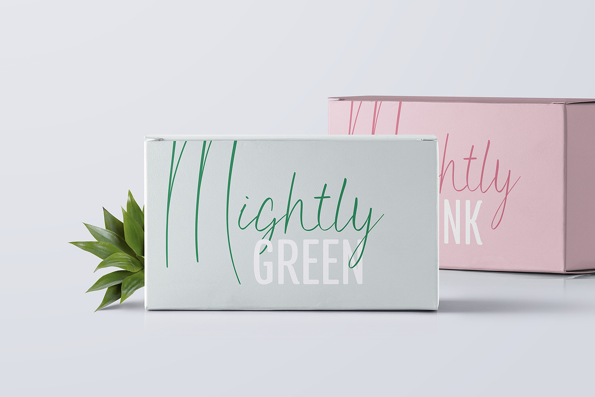 La Fortuna / Stylish Signature Font preview 5