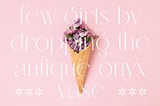 Veilan Serif Delicate font, a Serif Font by Andfonts (Thumbnail 10 of 13)