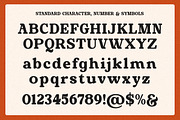 Sunday Breaks - Modern Retro Serif, a Serif Font by Shakira Studio (Thumbnail 10 of 10)