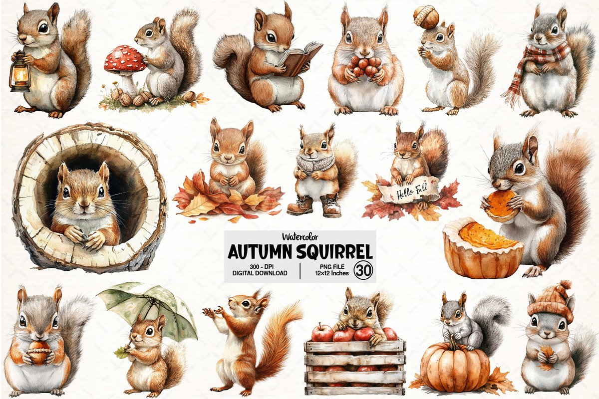 Watercolor Autumn Squirrel Clipart, an Illustration by Pixels.Craft (Photo 1 of 7)