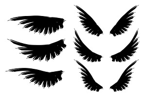 Bird wings collection.