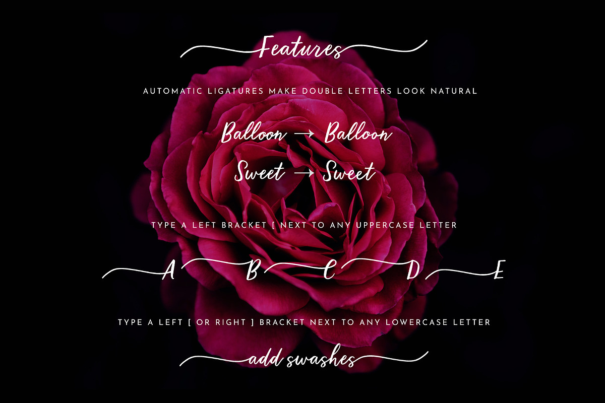 Calligraphy Script Brooklyn Heights preview 8