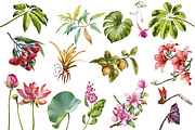 Watercolor tropical birds, an Illustration by IrynaPanashii (Thumbnail 3 of 11)