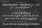 Broocklyn Brush Script, a Script Font by Creatype Studio (Thumbnail 7 of 10)