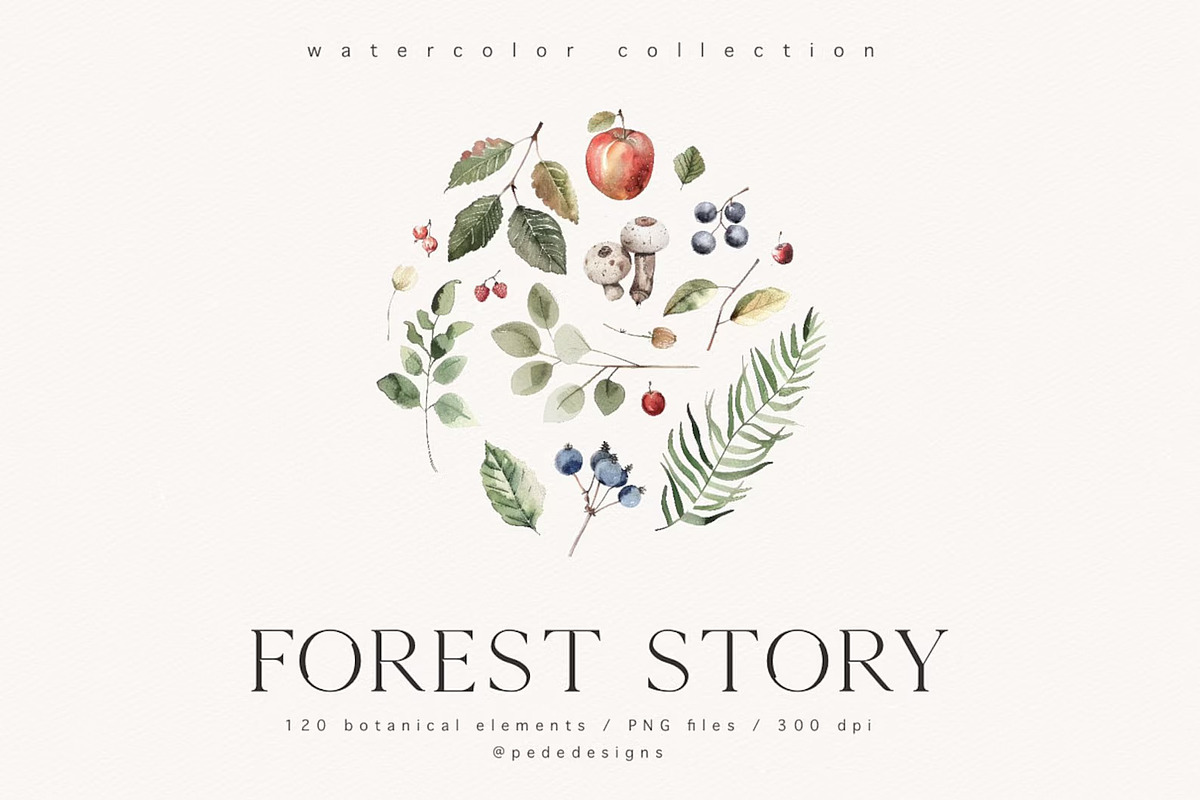 Forest Story, an Animal Illustration by PeDe Designs (Photo 7 of 10)