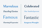 Senlot, a Sans Serif Font by insigne (Thumbnail 2 of 5)