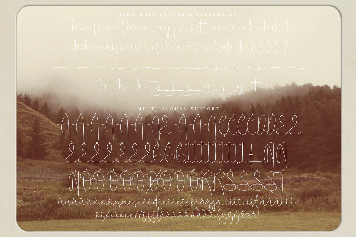 Acropholis, a Script Font by operatype.co (Photo 13 of 15)