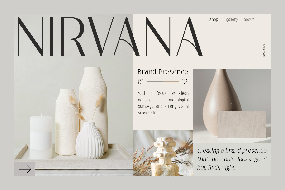 Serina - Modern Elegant Logo Font, a Sans Serif Font by roomspace creative lab (Photo 2 of 11)
