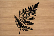 Fern Leaf Silhouette PNG Vector Set, an Object Illustration by Amazin_art (Thumbnail 2 of 4)