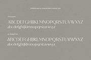 NT VANILLA, a Serif Font by nevsky.type (Thumbnail 2 of 11)