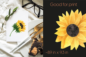 Sunflower Watercolor Clipart PNG