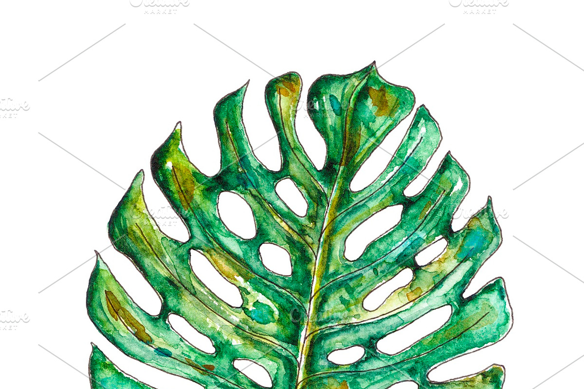 Watercolor palm leaves clipart, an Illustration by Watercolor_Vector Graphic (Photo 3 of 15)