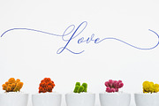 Camelia Calligraphy Modern, a Script Font by Teweka (Thumbnail 9 of 11)