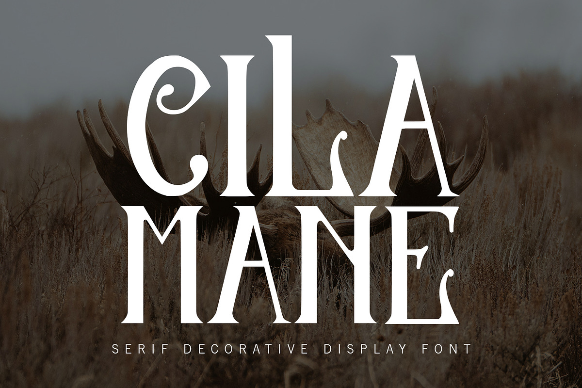 Cilamane Serif Decorative Display, a Serif Font by Maulana Creative (Photo 1 of 7)