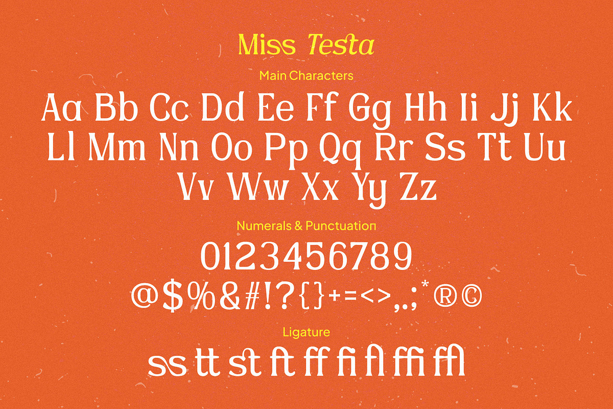 Miss Testa, a Sans Serif Font by Nathatype (Photo 4 of 11)